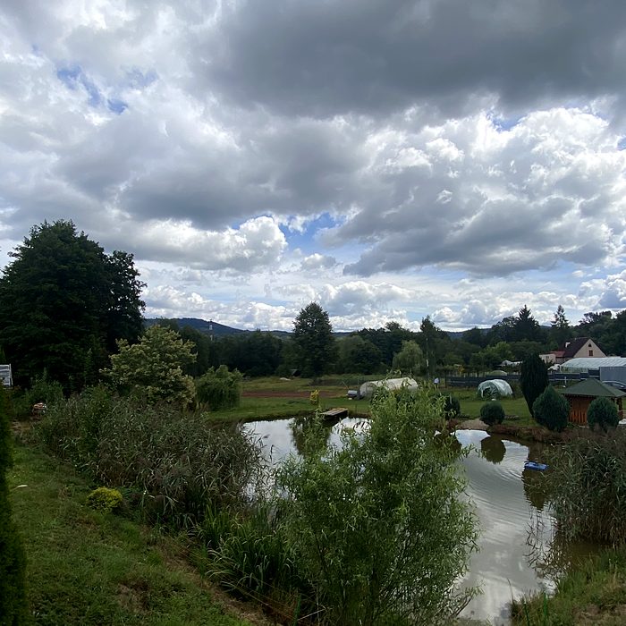 Widok na stawy