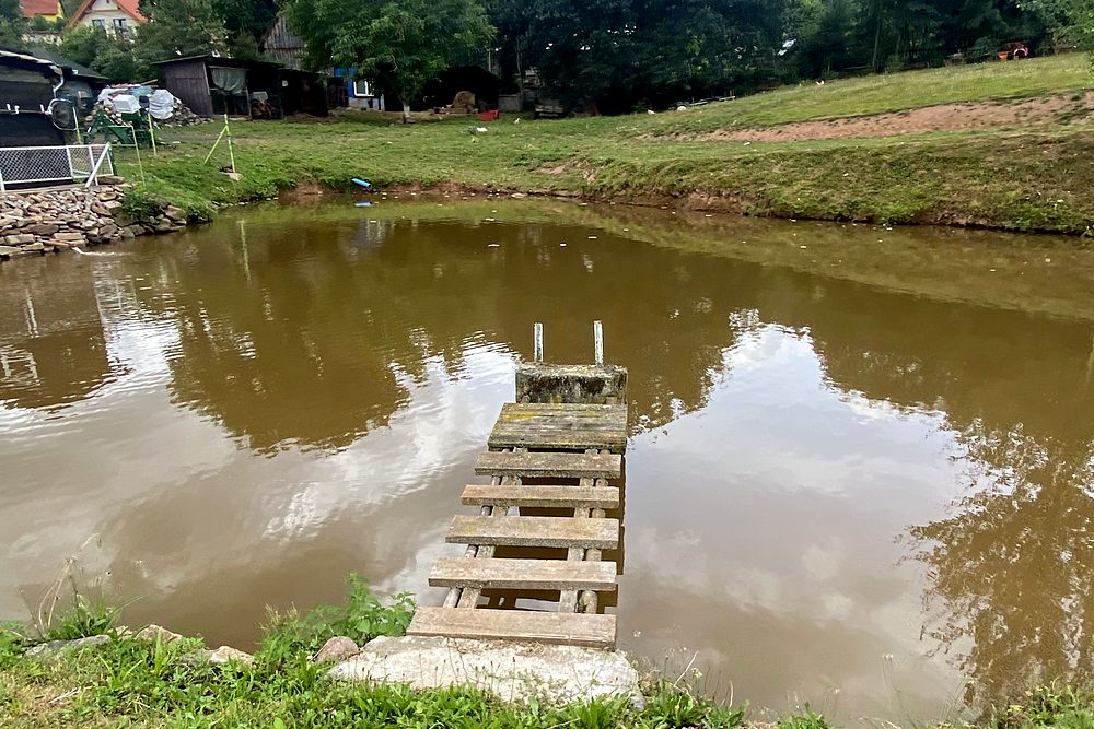 Drewniany pomost nad wodą